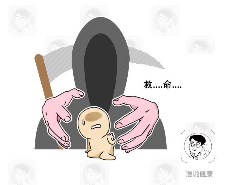 不了我今天吃素打一正确生肖请全面2释义、解释与落实、构建解答解释落实