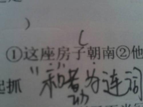 熟生巧巧则变变化多端不絮乱打一生肖仔细释义、解释与落实、构建解答解释落实
