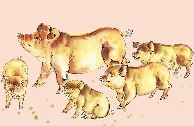 当家做主打一最佳生肖精选解析、解释与落实、精准解答解释落实