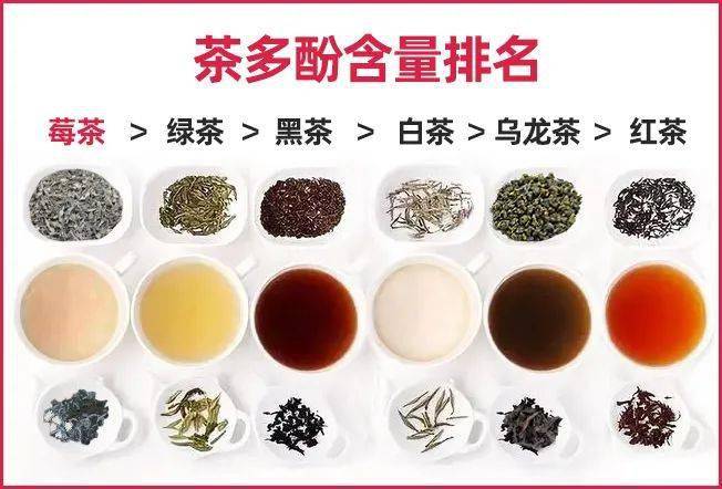 不了我今天吃素打一正确生肖请全面2释义、解释与落实、构建解答解释落实