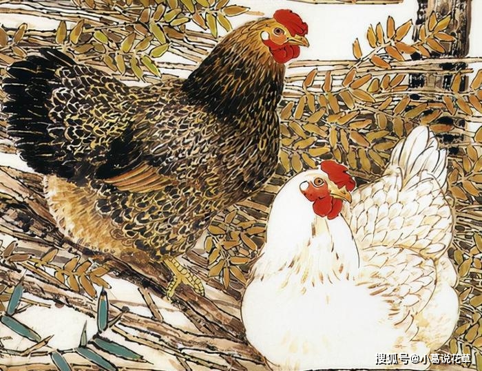 当家做主打一最佳生肖精选解析、解释与落实、精准解答解释落实