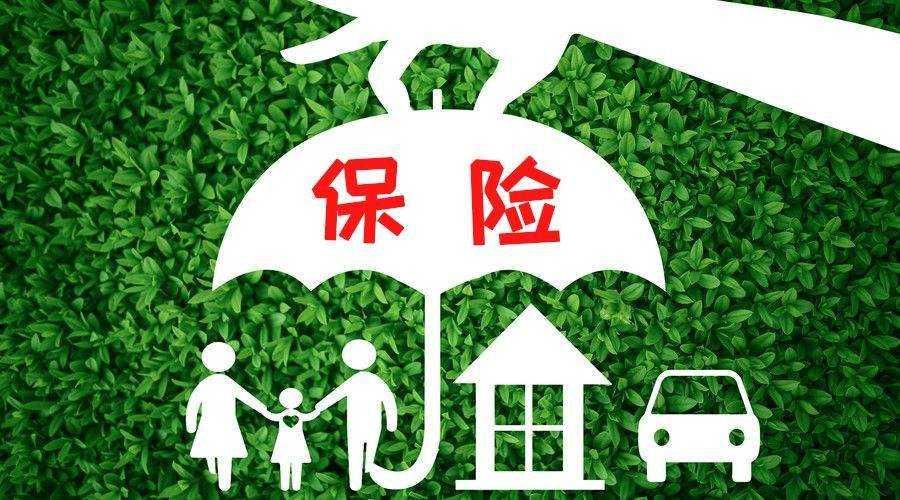 不了我今天吃素打一正确生肖请全面2释义、解释与落实、构建解答解释落实