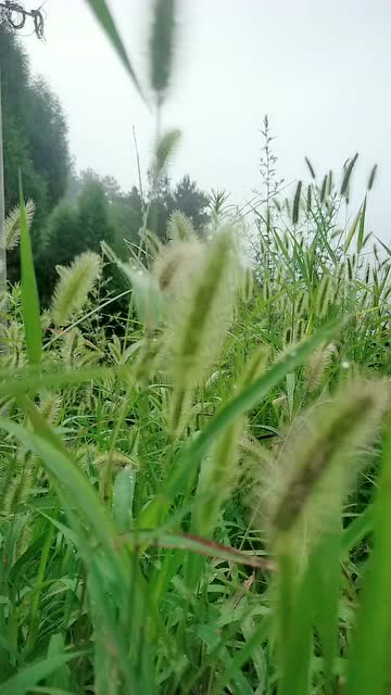眼前困难别灰心，鼓足信心看未来打一个准确生肖的警惕虚假宣传-全面释义、解释与落实、构建解答解释落实
