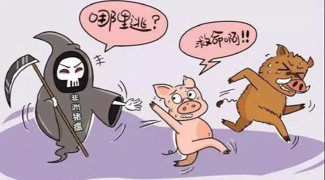 日防夜防家难防,内部蛀虫要快除打一生肖,警惕虚假宣传-全面释义、解释与落实、实证解答解释落实