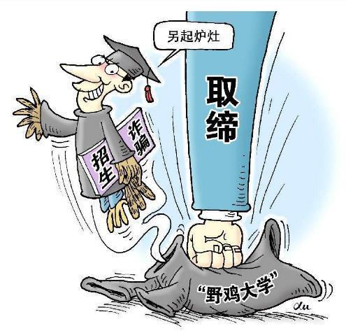 今期生肖运到时留住三八把五配打一生肖警惕虚假宣传、全面解答与解释、专家解答解释落实